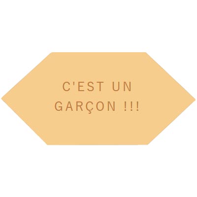 c-est-un-garcon