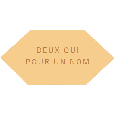 deux-oui-pour-un-nom