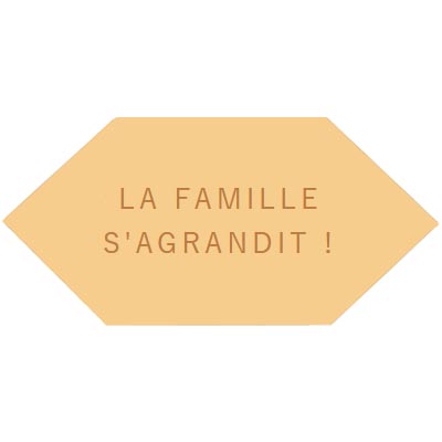 la-famille-s-agrandit