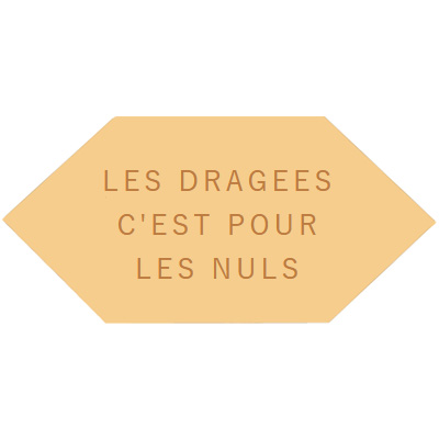 les-dragees-cest-pour-les-nuls